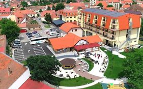 Hotel Leul De Aur